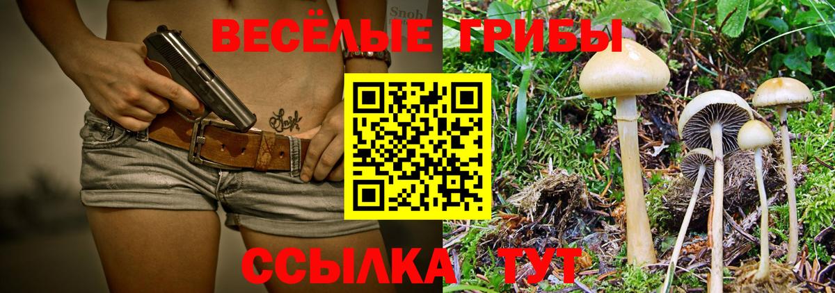 Сухой Лог  Галлюциногенные грибы Psilocybine cubensis  где найти наркотики  Вход с VPN 